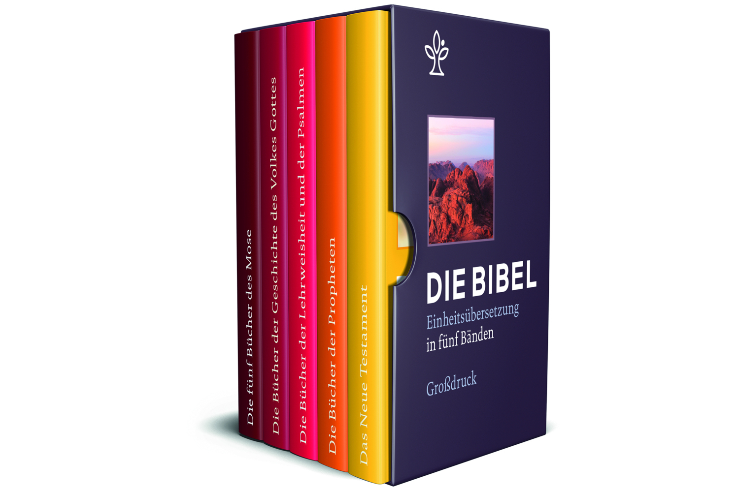 Bibel: REÜ/Großdruck in 5 Bänden
