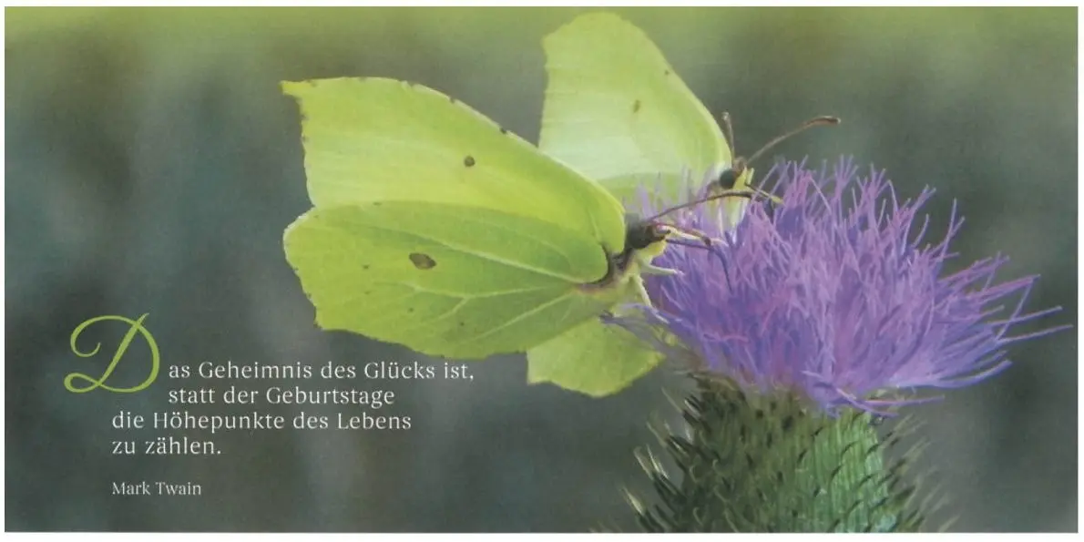 Geburtstagsbillett Das Geheimnis des Glücks - Schmetterling