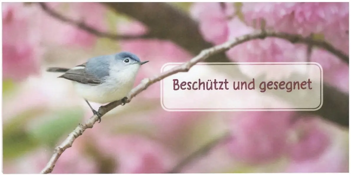 Geburtstagsbillett Beschützt und gesegnet