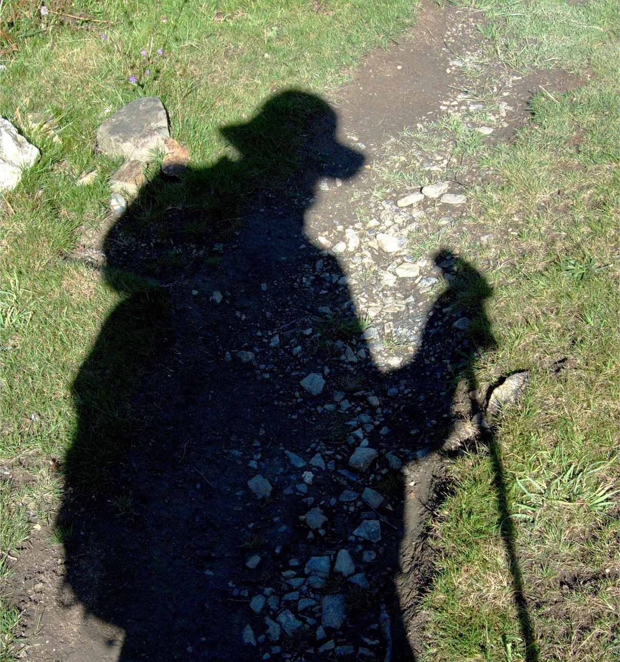 aitoff-shadow-1665061_1920