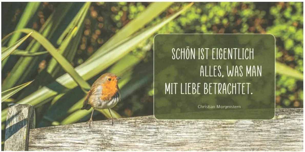 Geburtstagsbillett Schön ist eigentlich alles