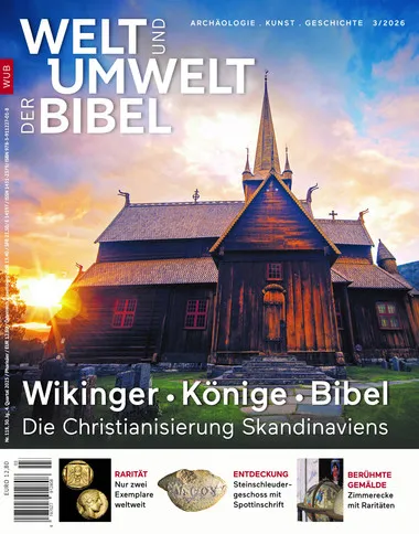 Welt und Umwelt 121/Wikinger, Könige, Bibel