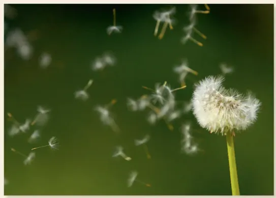 Doppelkarte Alles verweht - Andere Zeiten