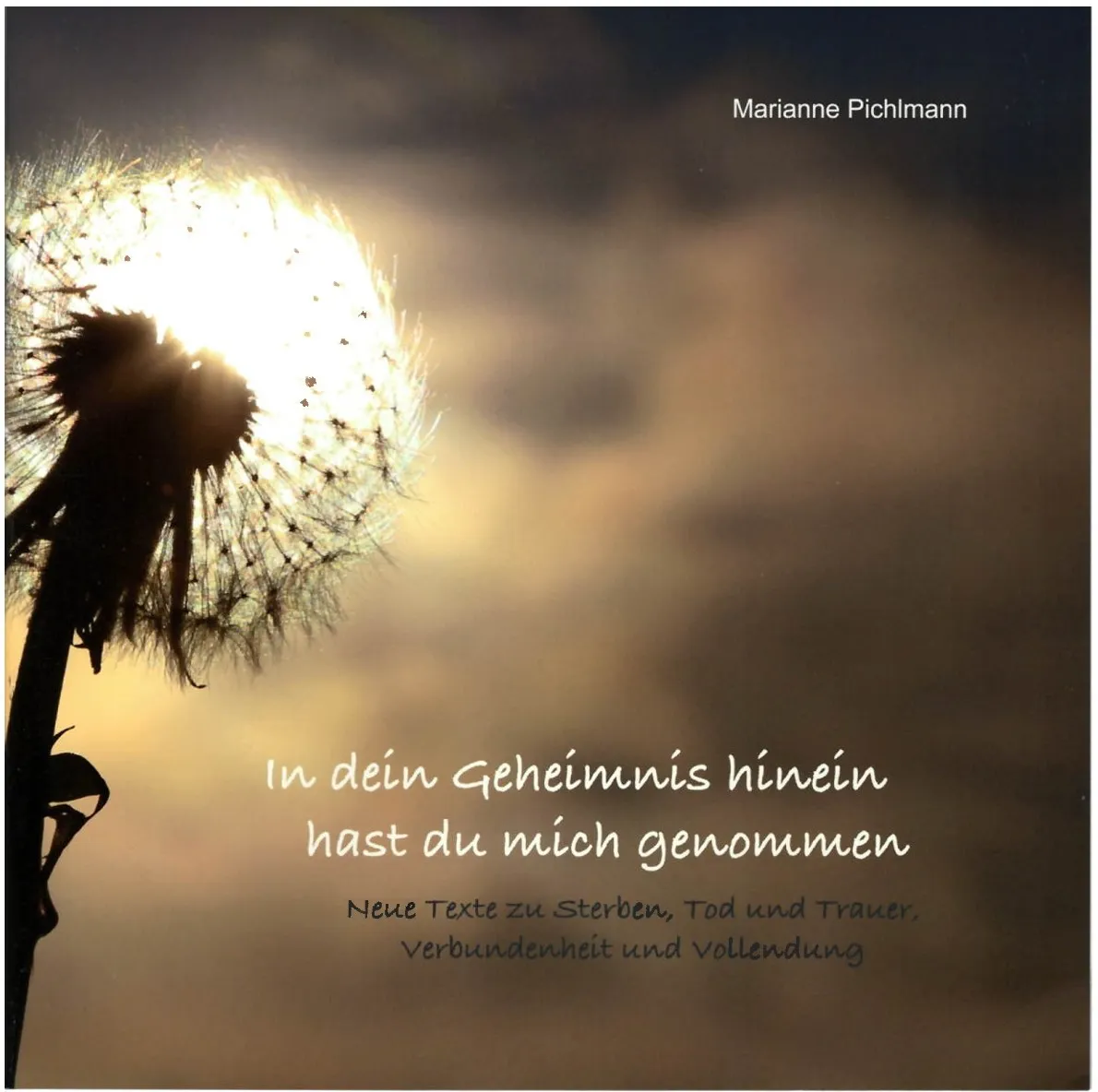 In dein Geheimnis hinein hast du mich genommen - Neue Texte zu Sterben, Tod und Trauer, Verbundenheit und Vollendung