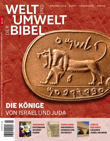 Welt und Umwelt 96/Die Könige