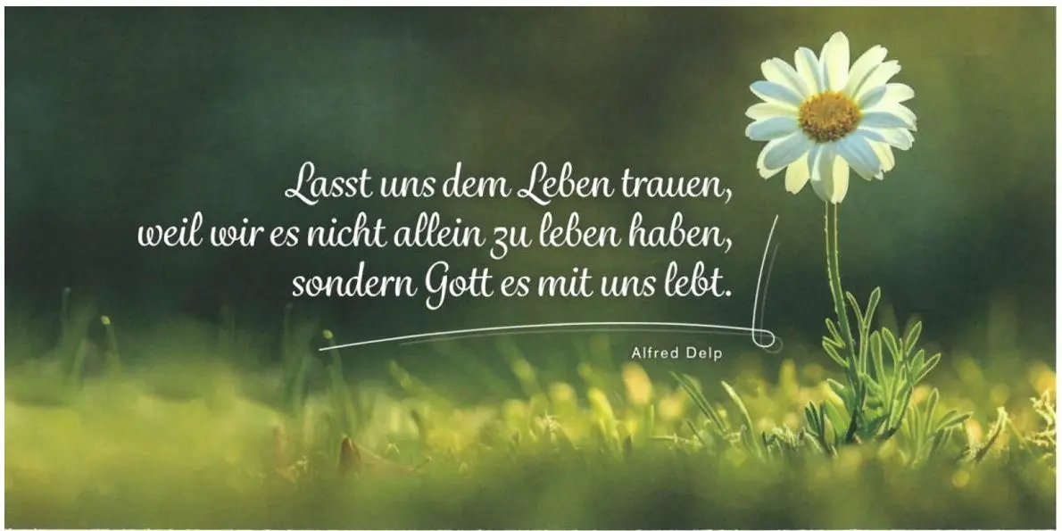 Geburtstagsbillett Lasst uns dem Leben trauen