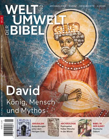 Welt und Umwelt 111/David