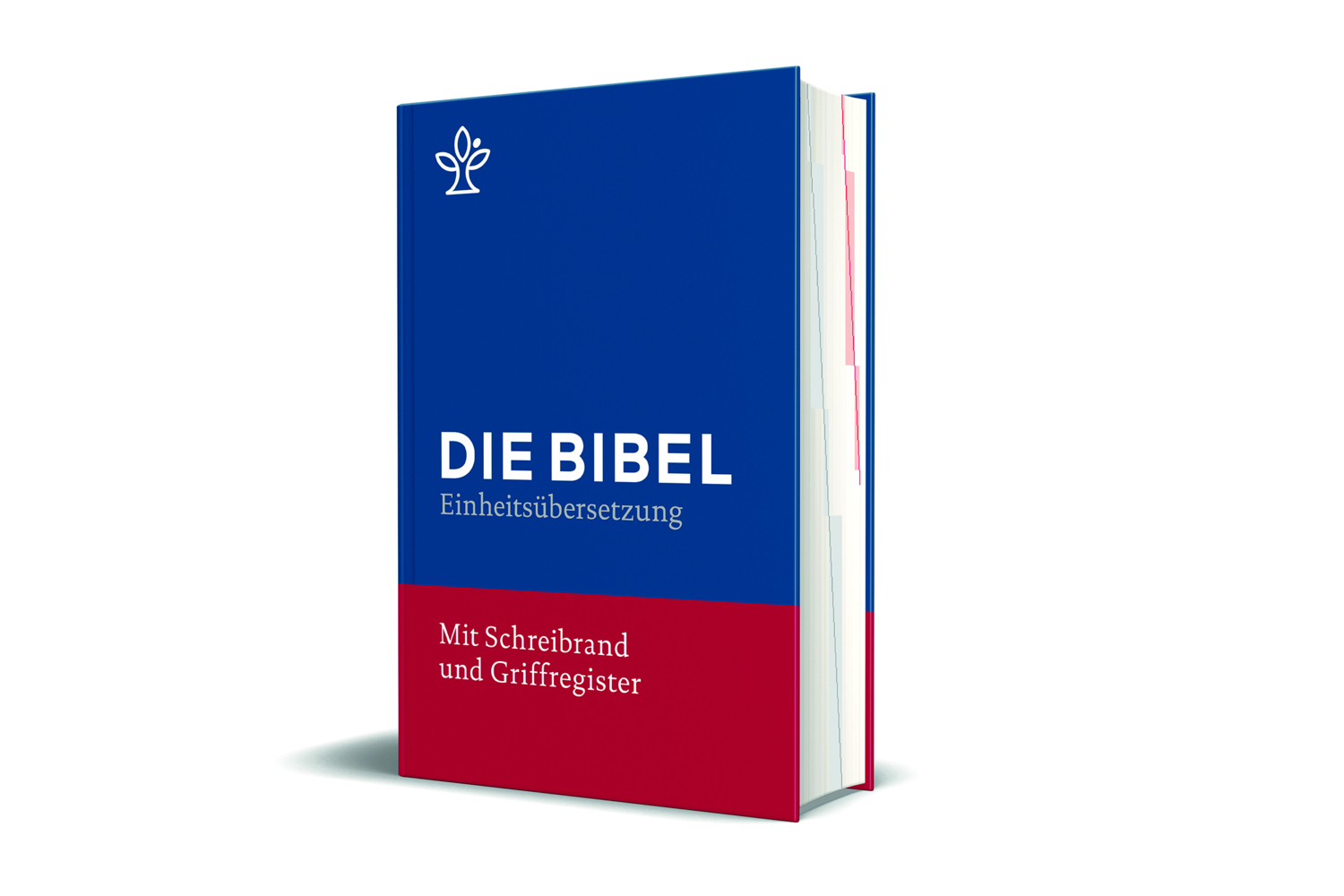 Bibel: REÜ/Blau/Mit Schreibrand