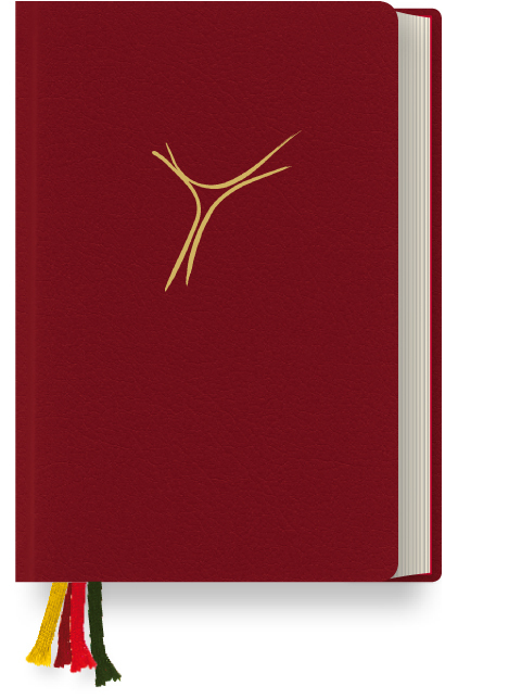 Gotteslob - Leder/weinrot